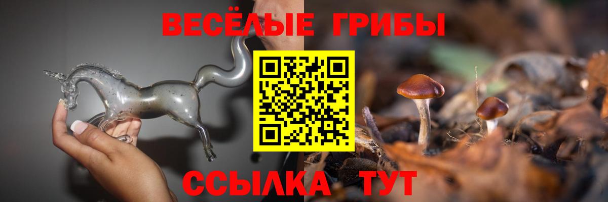 Псилоцибиновые грибы GOLDEN TEACHER  Вход с VPN  Миасс  Галлюциногенные грибы мухоморы 